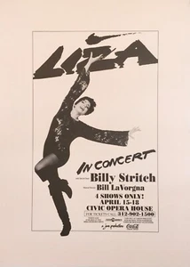 LIZA MINNELLI IN CONCERT 1993 ORIGINAL POSTER 28 1/2 X 20 5/8 CIVIC OPERA HOUSE - Picture 1 of 1