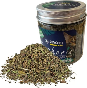 Euphoria - Barattolo Catnip, Erba Gatta Essiccata Naturale Tritata, Attrattivo p - Foto 1 di 12