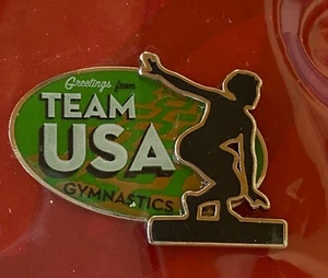 TOKYO 2020 - USA GYMNASTICS NOC TEAM PIN - Picture 1 of 1