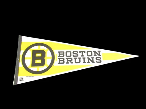 Vintage 1988 Boston Bruins Pennant NHL Collectible Defunct Logo Cover