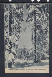 Cartolina Consuma L'Abetina d'Inverno I278 - Picture 1 of 1