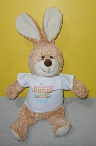 12" Mai Toi Bunny Rabbit Bean Plush Stuffed Animal Some Bunny Loves RHYS Shirt - Afbeelding 1 van 2