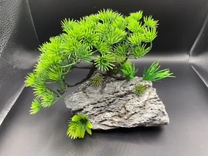 Aquarium Bonsai Tree Green Aquascape Natural Stone - Brian - Picture 1 of 7