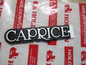 NOS HOLDEN WB STATESMAN CAPRICE S2 GRILLE SURROUND BADGE GRILL EMBLEM ORNAMENT - Picture 1 of 4