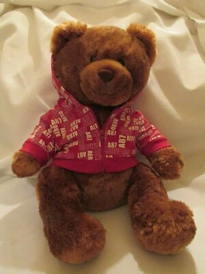 Oso de peluche Aeropostale 15" con capucha roja  Foto 1 de 4