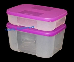 Juego de 2 Rectángulos 1 y 2,75 Tazas Congelador Tupperware Mates Púrpura NUEVO - Imagen 1 de 2