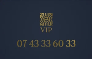 07 43 33 60 33 - Numéro de téléphone - Facile / Vip ⚜️. Transfert du numéro. - Zdjęcie 1 z 1