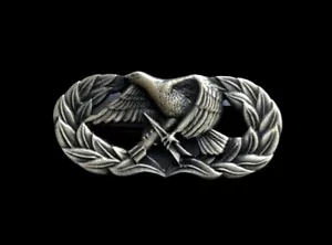 BASIC AIR MAINTENANCE MUNITIONS REGULULATION BADGE PIN UP US AIR FORCE VETERAN ** - Bild 1 von 24