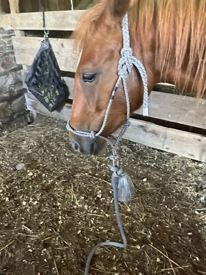 Cabestro de cuerda Weaver gris/blanco/granate con plomo. Foto 1 de 4