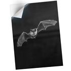 1 X Vinyl Sticker A1 - Bw - Pipistrelle Gothic Flying Bat #36647