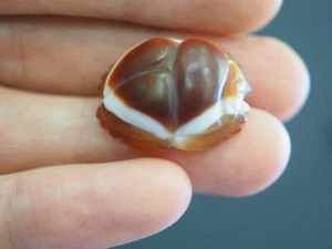 Antik alter Achat geschnitzt Skarabäus Auge Achat Ägyptisch Schutz Grab Amulett Perle - Bild 1 von 7