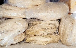 6 Pcs Local Shredded African Sponge - Picture 1 of 5