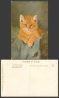 Stacks Artist Signed, Orange Pussy Cat Kitten, Pet Animal Old Art Drawn Postcard