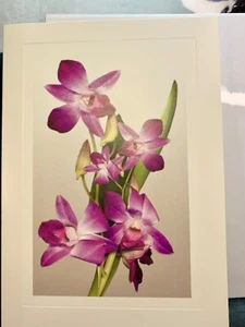 Congratulations on Success Card! Floral Photography Purple Orchid - Picture 1 of 3