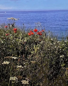 Personalised Mothers Day Natural Environmental Photographic Images Greeting card - Picture 1 of 2