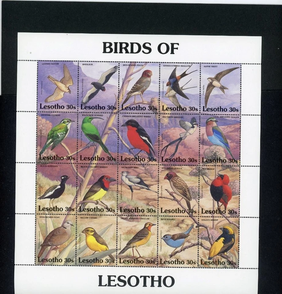 Lesotho 1992 Birds Scott # 886 como nuevo casi nuevo Foto 1 de 1