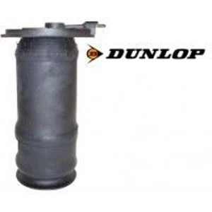 Range Rover P38 Juego de suspensión neumática trasera con 2 piezas - RKB101460 - DUNLOP - Imagen 1 de 1