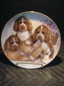 Gorro y arcos de Ruane Manning plato de coleccionista cachorro amigos cachorros perro - Imagen 1 de 3