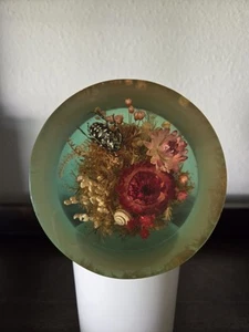 Vintage Lucite Insect Taxidermy Flower Cylinder Display Paperweight Resin Oddity - Picture 1 of 8