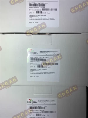 NEW ENTEGRIS WG2FT1SS2 Gas Filter Expedited Shipping Free shipping US free tax - Image 1 of 4