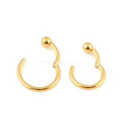 16G 8mm 10mm Hinged Ball Closure Segment Captive Bead Ring Nose Hoop Septum Ring - Image 1 of 4