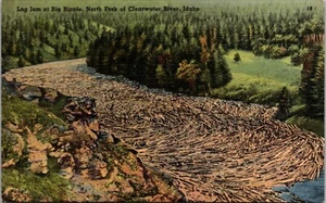 Log Jam at Big Ripple Clearwater River Idaho Linen Postcard - Picture 1 of 2