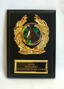 HORSE PLAQUE 5 X 7 HORSE SHOW HORSE AWARD HORSE TROPHY - Picture 1 of 4