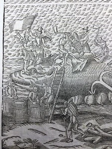 Pêche à la Baleine Cétacé 1614 Rare Gravure Bois Vlissingen Caligula Cétologie - Foto 1 di 9
