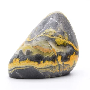 Bumblebee Jasper Freeform - Picture 1 of 5