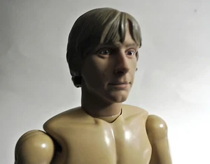 1/6 Luke Skywalker 12" figure head body by Sideshow Star Wars Mark Hamill - Picture 1 of 5