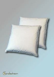 2 Pezzi Cuscini 80 X 80 Cm Con Bordo 1000 Fino A 3000 G In 16 Varianti - Foto 1 di 1