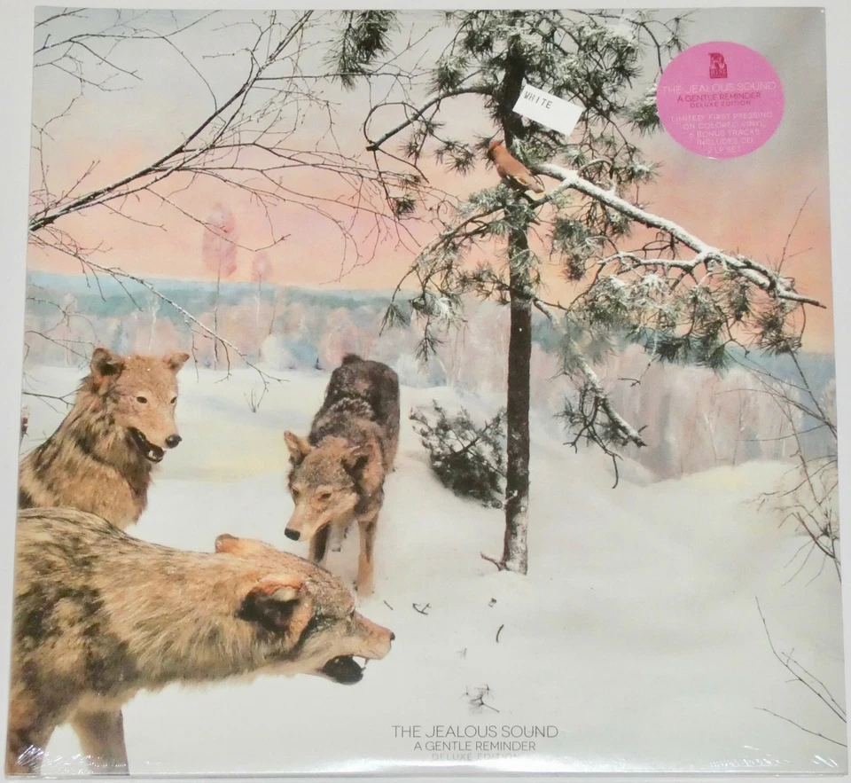 THE JEALOUS SOUND A Gentle Reminder WHITE VINYL 2xLP /500 SEALED knapsack samiam Foto 1 de 3