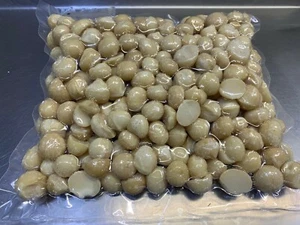 Macadamia Nut 4.8kg Fresh Natural Raw Nuts - Picture 1 of 1