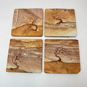 Sottobicchieri vintage dipinti a mano albero del deserto pietra sabbia 4”x4” set di 4 - Foto 1 di 10