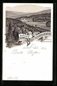 Lithographie Breitenbrunnen, Kurhaus Schwarzwald mit Hochkopf  - Picture 1 of 2