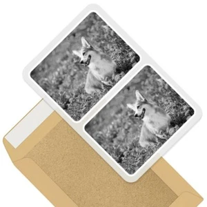 2 x rechteckige Aufkleber 7,5 cm BW - Corgi Hund Feld Blumen Tiere Haustiere #41303 - Bild 1 von 9