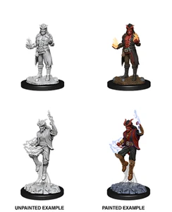 TIEFLING MALE SORCERER D&D Nolzur's Marvelous Miniatures Wizkids WZK90058 - Picture 1 of 4