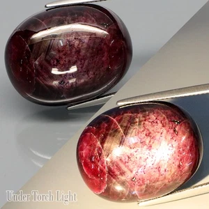 58.57Ct.Perfect! Sharp 6 Rays Natural GIANT Apple Red Star Ruby Madagascar - Picture 1 of 4