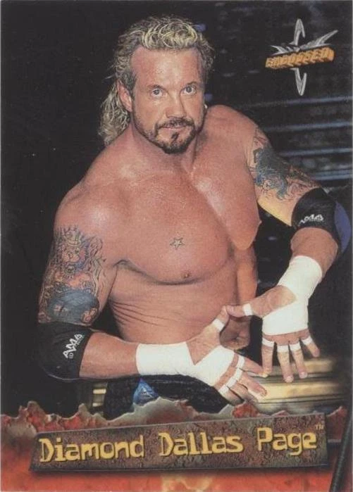 1999 Topps WCW Embossed - Diamond Dallas Page #6