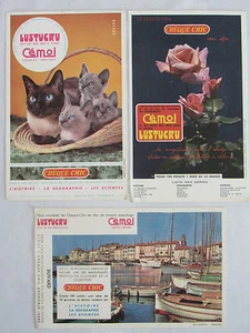 10C19 Lote 3 Antiguo Secante Publicidad Chocolate Castelo Y Pasta Lustucru - Imagen 1 de 2