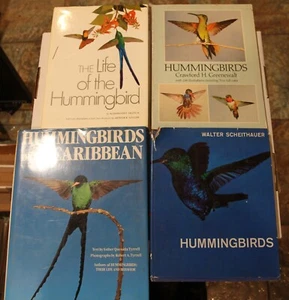 Hummingbird Books - Lot of 4 books on Hummingbirds, their natural history, etc. - Picture 1 of 5