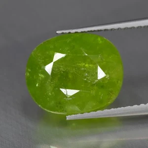 9.89Ct Oval_Pretty Natural Demantoid Garnet Loose Gemstone - Picture 1 of 1