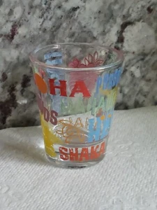 Hawaii Shot Glass "Local Talk" Only Used For Display - Picture 1 of 6