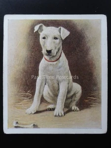 No.1 THE BULL TERRIER - Our Puppies by Godfrey Phillips 1936 - Picture 1 of 1