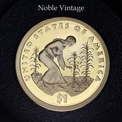 Moneda de dólar Sacagawea 2009 S Proof - de un conjunto de prueba Foto 1 de 2