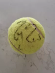 Roger Federer Signed Large Display Tennis Ball LAI COA Clear Tennis Autograph - Picture 1 of 6