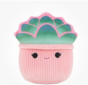 Squishmallows Afiyah Succulent Squeaky Dog Plush Toy 5 Inch - Picture 1 of 1