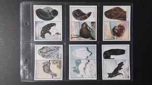 WILLS.   1929,     ANIMALS  AND THEIR FURS.       FULL  SET  OF  25 CARDS.