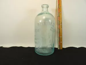Buffalo Lithia Wasserflasche 10 1/4 Zoll 58 Unzen Natures Materia Medica C 8 Boden - Bild 1 von 10