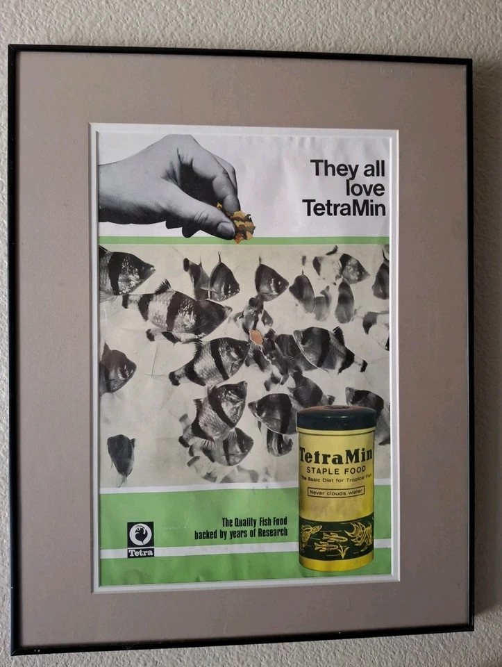 Póster publicitario vintage de comida para peces Tetramin de acuario de los años 70 enmarcado y enmarañado Foto 1 de 4